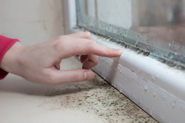 Forensic Mold Investigation in Bermuda Run, NC